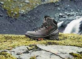 Ecco Hiking Boots